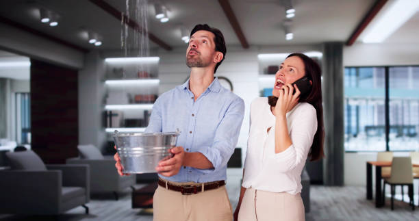 Best Professional water damage repair  in Kettering, OH
