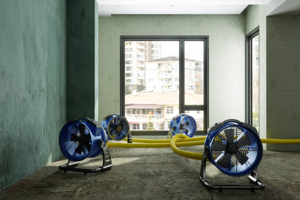 Best Water damage restoration services  in Kettering, OH